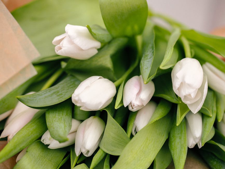 Bouquet of Tulips