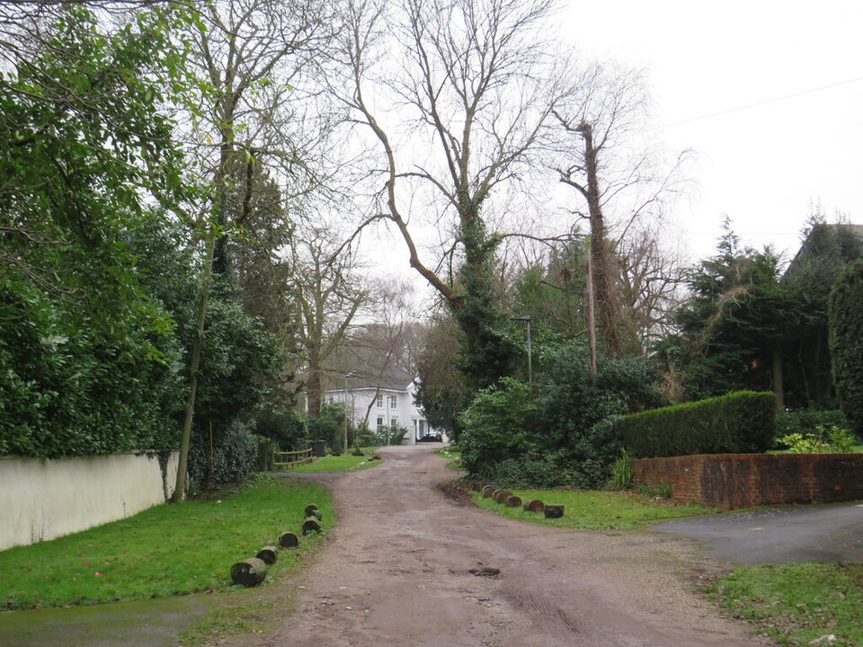 Park Wood — Greater London