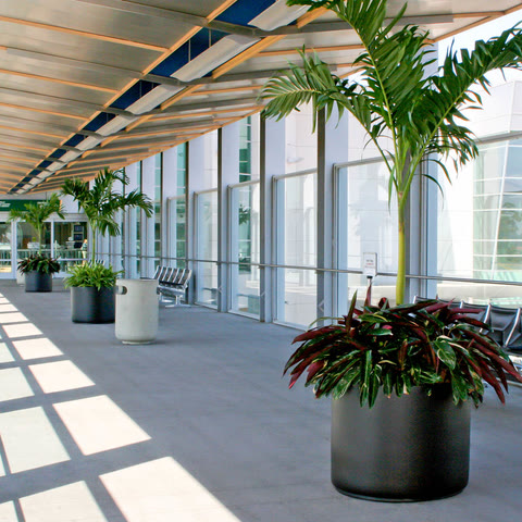 Cabin Plant Heliport (DCP)