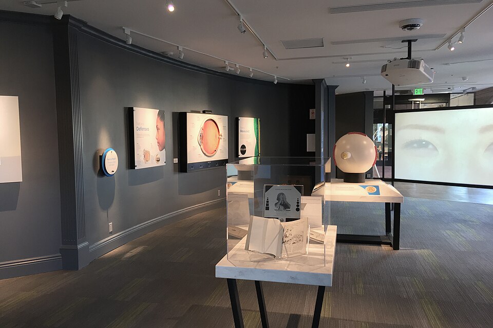 Truhlsen-Marmor Museum of the Eye — Сан-Франциско