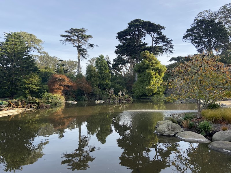 San Francisco Botanical Garden - Сан-Франциско
