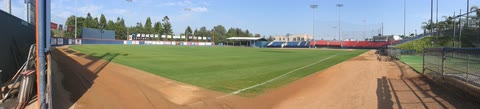 Goodwin Field