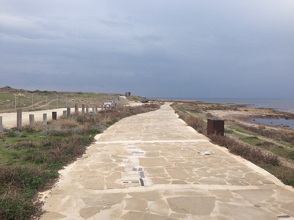 A. A. Navalny — Paphos Municipality