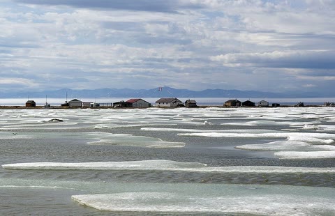 Herschel Island Field